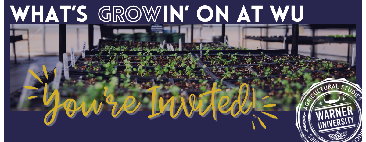 What's Growin' On 2026